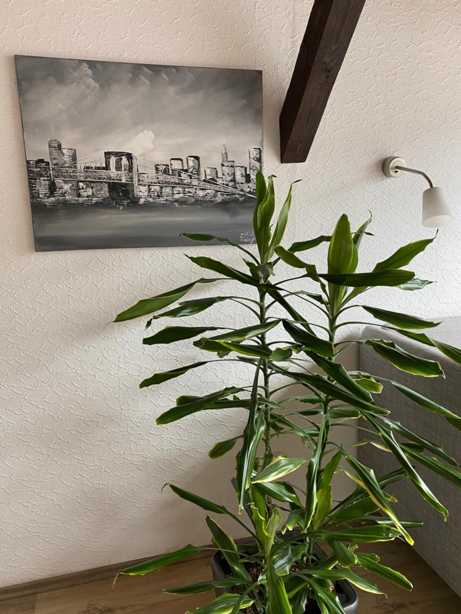 Ferienwohnung Malk Traben-Trarbach Kültér fotó